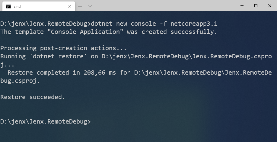 new .net core console app