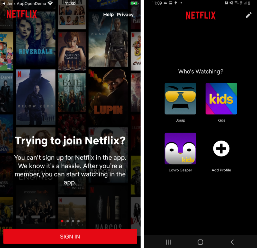 netflix app